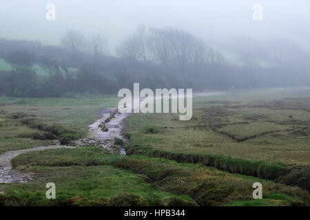 UK Wetter nebligen Tag. Gannel Mündung Newquay Cornwall Stockfoto