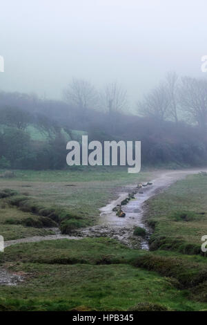 UK Wetter nebligen Tag. Gannel Mündung Newquay Cornwall Stockfoto