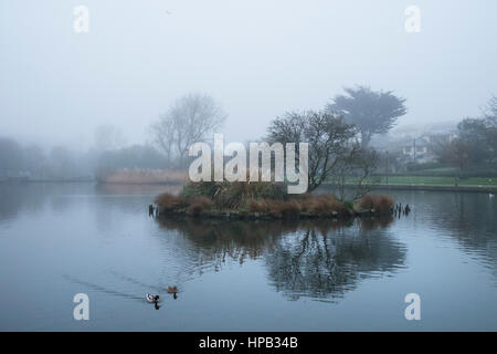 nebliger Tag Trenance Bootfahren See Newquay Cornwall UK Wetter Stockfoto