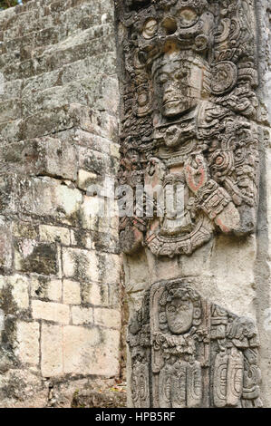 Honduras, Ruinen Maya-Stadt in Copan. Das Bild zeigt Details der Stela P auf die West Plaza Stockfoto