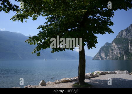 Gardasee Italien Stockfoto