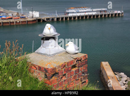 Sonnig Stockfoto