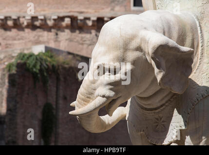 Berninis "Little Elephant" in Piazza della Minerva mit Pantheon im Hintergrund, Rom, Latium, Italien, Europa Stockfoto