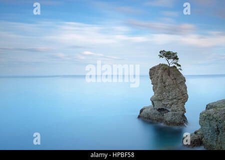 Regionaler Naturpark Portofino. Einsame Kiefer Baum Rock und Küsten Klippe Strand. Langzeitbelichtung Fotografie. Ligurien, Italien Stockfoto