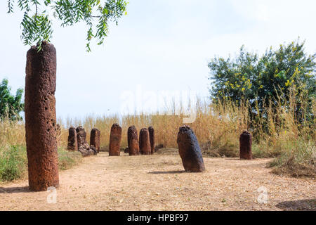 Historische Wassu Steinkreis Megalithen in der Nähe des Flusses Gambia Stockfoto