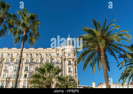 Carlton Hotel, Fassade, Promenade de Coisette, Palm-Baum, Cannes, Côte d ' Azur, Frankreich, Stockfoto