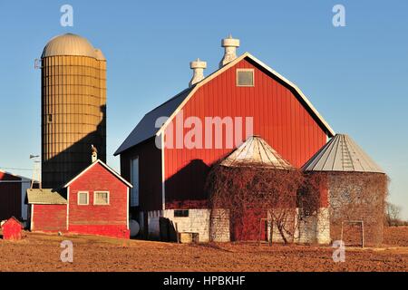 Auf einem hellen Winter Tag, eine rote Scheune, Silos und leeren Speicher Kinderbetten erwarten Frühling vor einem Bauernhof in der Gemeinschaft von South Elgin, Illinois, USA. Stockfoto