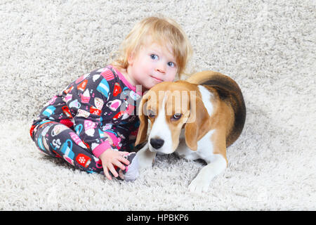 Beagle und ein kleines Mädchen spielen zusammen auf Teppich Stockfoto