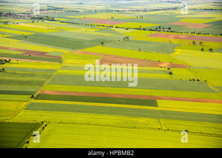 Landwirtschaft, Felder östlich von Danzig, Feld-Muster, Pręgowo Zulawskie, Pomorskie, Polen Stockfoto