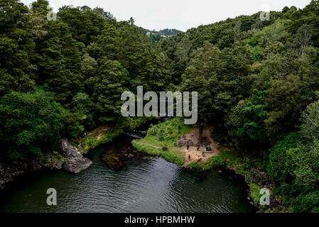 Ein Blick auf die Whangarei Wald Natur behalten aus dem Wasserfall. Fluss und Brücke im Hintergrund Stockfoto