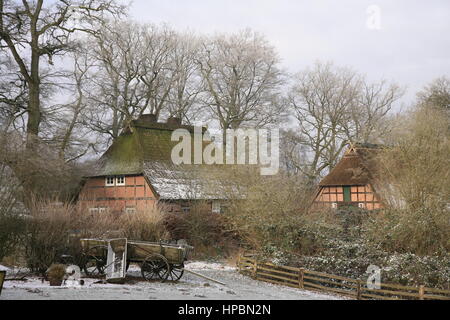 Wilsede, Lüneburger Heide Im Winter, Niedersachsen, Deutschland Stockfoto