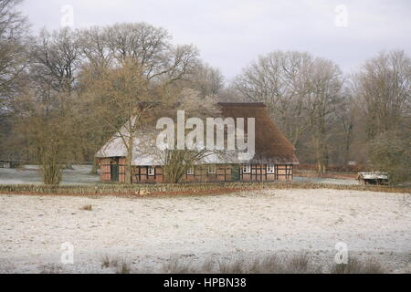 Wilsede, Lüneburger Heide Im Winter, Niedersachsen, Deutschland Stockfoto