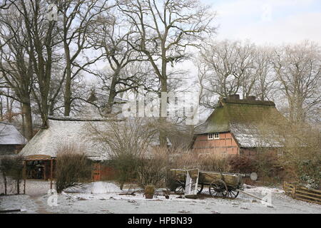 Wilsede, Lüneburger Heide Im Winter, Niedersachsen, Deutschland Stockfoto