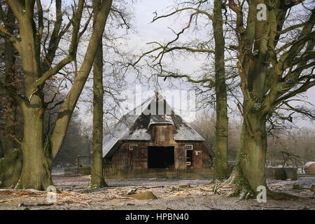 Schafstall, Wilsede, Lüneburger Heide Im Winter, Niedersachsen, Deutschland Stockfoto