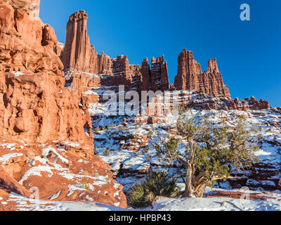 Ein Wacholder inmitten der Fisher Towers Felsformationen in der Nähe von Moab, Utah Stockfoto