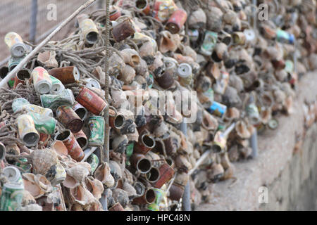 Qingdao, China. 20. Februar 2017. Berge von Muscheln bilden eine "Mauer" am Meer in einem Kai in Qingdao, der ostchinesischen Provinz Shandong, 20. Februar 2017. Bildnachweis: SIPA Asien/ZUMA Draht/Alamy Live-Nachrichten Stockfoto