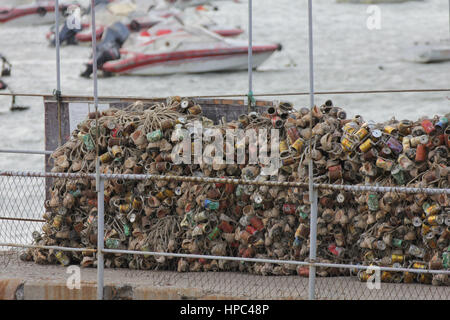 Qingdao, China. 20. Februar 2017. Berge von Muscheln bilden eine "Mauer" am Meer in einem Kai in Qingdao, der ostchinesischen Provinz Shandong, 20. Februar 2017. Bildnachweis: SIPA Asien/ZUMA Draht/Alamy Live-Nachrichten Stockfoto