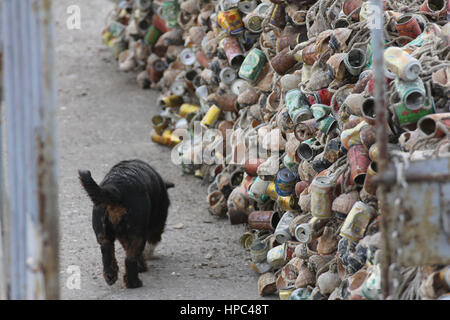 Qingdao, China. 20. Februar 2017. Berge von Muscheln bilden eine "Mauer" am Meer in einem Kai in Qingdao, der ostchinesischen Provinz Shandong, 20. Februar 2017. Bildnachweis: SIPA Asien/ZUMA Draht/Alamy Live-Nachrichten Stockfoto