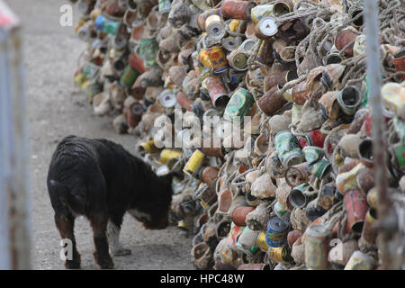 Qingdao, China. 20. Februar 2017. Berge von Muscheln bilden eine "Mauer" am Meer in einem Kai in Qingdao, der ostchinesischen Provinz Shandong, 20. Februar 2017. Bildnachweis: SIPA Asien/ZUMA Draht/Alamy Live-Nachrichten Stockfoto