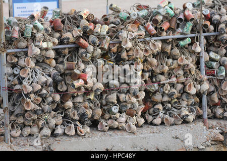 Qingdao, China. 20. Februar 2017. Berge von Muscheln bilden eine "Mauer" am Meer in einem Kai in Qingdao, der ostchinesischen Provinz Shandong, 20. Februar 2017. Bildnachweis: SIPA Asien/ZUMA Draht/Alamy Live-Nachrichten Stockfoto