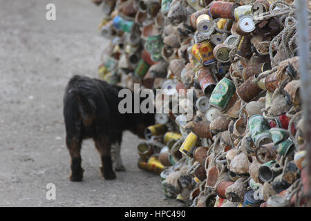 Qingdao, China. 20. Februar 2017. Berge von Muscheln bilden eine "Mauer" am Meer in einem Kai in Qingdao, der ostchinesischen Provinz Shandong, 20. Februar 2017. Bildnachweis: SIPA Asien/ZUMA Draht/Alamy Live-Nachrichten Stockfoto