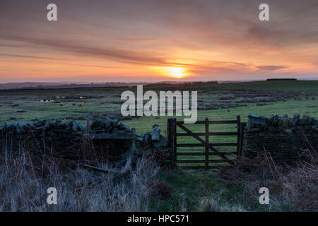 Teesdale, County Durham UK. 21. Februar 2017. Großbritannien Wetter. Ein cooler aber bunter Start in den Tag als die Sonne stieg über Bail Hügel in Teesdale. Die Prognose ist für die Cloud, im Laufe des Vormittags mit Regen, später am Nachmittag anreisen zu bauen. Bildnachweis: David Forster/Alamy Live-Nachrichten Stockfoto