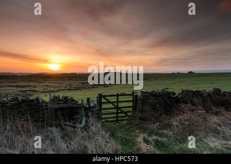 Teesdale, County Durham UK. 21. Februar 2017. Großbritannien Wetter. Ein cooler aber bunter Start in den Tag als die Sonne stieg über Bail Hügel in Teesdale. Die Prognose ist für die Cloud, im Laufe des Vormittags mit Regen, später am Nachmittag anreisen zu bauen. Bildnachweis: David Forster/Alamy Live-Nachrichten Stockfoto