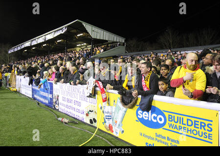 Sutton, Grossbritannien. 20. Februar 2017. Die heimischen Fans vor der FA Cup 5. Runde Spiel zwischen Sutton United und Arsenal im Borough Sportplatz am 20. Februar 2017 in Sutton, England. Bildnachweis: PHC Bilder/Alamy Live-Nachrichten Stockfoto
