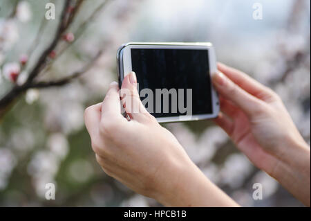 Frau eine Smartphone in den Händen hält und schießt Frühlingsgarten Stockfoto