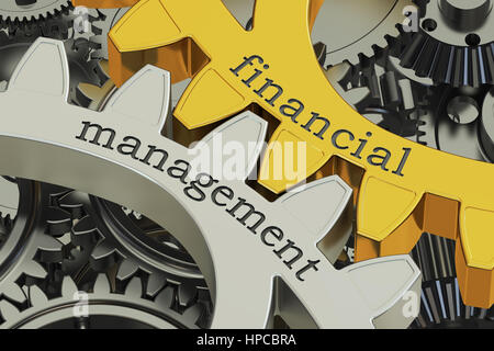 Financial Management-Konzept auf die Zahnräder, 3D rendering Stockfoto