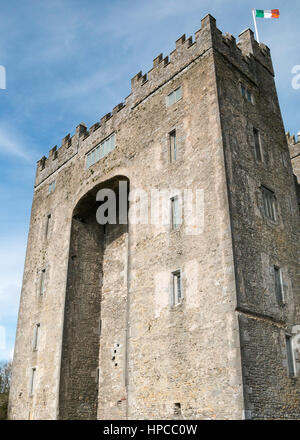 Bunratty Castle, Co. Clare, Irland Stockfoto