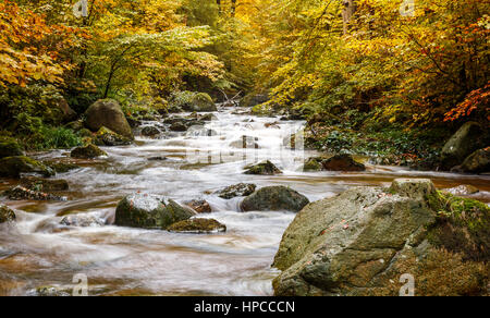 Der Harz ist das höchste Gebirge in Norddeutschland und seiner rauen Landschaft erstreckt sich über Teile von Niedersachsen, Sachsen-Anhalt und Thüringen. Stockfoto