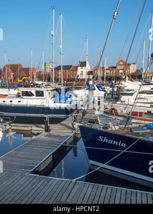 Boote am Rumpf Hull Marina Yorkshire England Stockfoto
