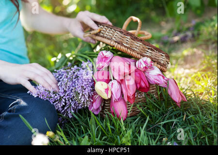 Strauß Tulpen und Flieder im Stroh Korb. Stockfoto