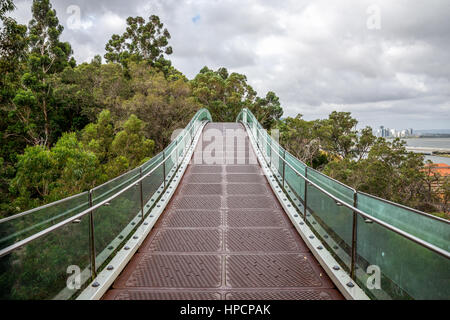 Eine hängende Brücke über den Bäumen im Kings Park und Botanischer Garten in Perth, Western Australia laufen Stockfoto