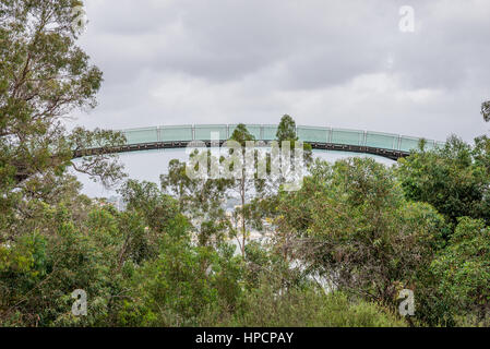 Ein Blick auf eine Beobachtung zu Fuß Brücke in Kings Park und Botanischer Garten in Perth, Western Australia Stockfoto