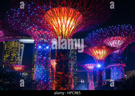 Singapur - 26. Juni 2016: Nachtansicht des beleuchteten Supertree Grove Gardens an der Bucht in Singapur Stockfoto