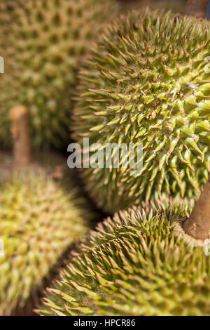 Durian-Früchte auf dem Markt Stockfoto