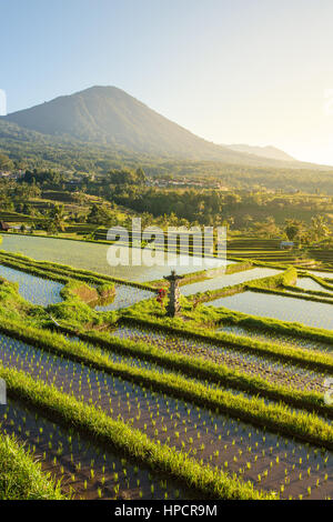 Schönen Sonnenaufgang über die Jatiluwih Reis-Terrassen in Bali, Indonesien Stockfoto