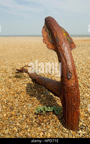 Rostiger alter Anker hat sich in den Kiesstrand von Aldeburgh, Suffolk, England, Großbritannien, gegraben. Stockfoto