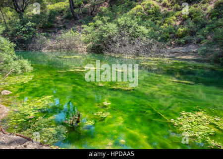 Grüner See in sieben Quellen (Epta Piges). Rhodos, Dodekanes, Griechenland Stockfoto