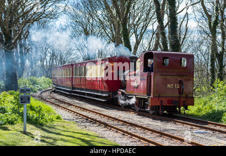 Dampf Lok Nr. 12, "Hutchinson", erbaut 1908. Annäherung an Castletown Bahnhof, Isle Of man. Stockfoto