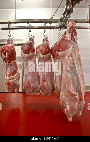 Rohes Fleisch Stockfoto