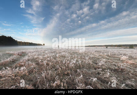 große Felder mit gefrorenen Rasen und blauen Wolkenhimmel Stockfoto