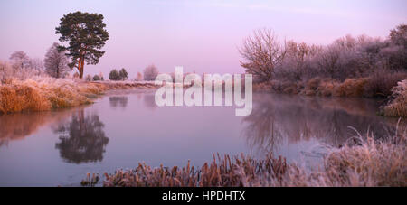 Nebligen Herbst Sonnenaufgang an einem See in kalten frostigen Morgen Stockfoto