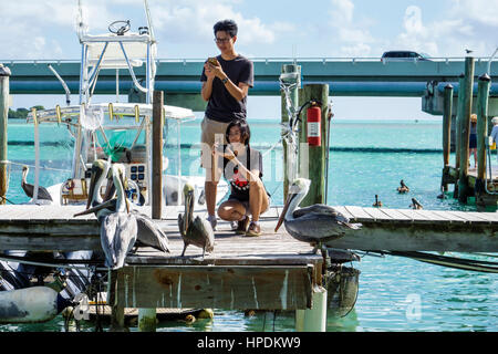 Florida Upper Florida Keys, Islamorada, Lower Matecumbe Key, Robbie's Marina, Florida Bay Water, Highway Route 1 Overseas Highway, Asiatische Asiaten ethnische Immig Stockfoto