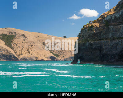 Akaroa, Canterbury, Neuseeland. Blick über das türkisfarbene Wasser aus Akaroa Kopf, schroffen Felsen markiert den Eingang zum Hafen von Akaroa. Stockfoto