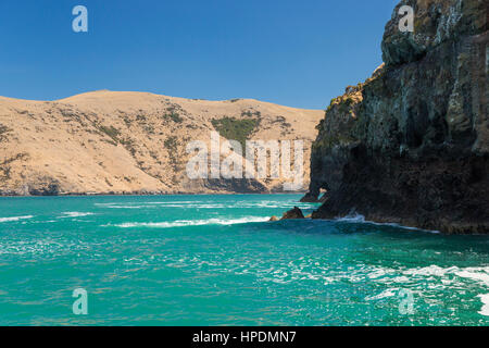 Akaroa, Canterbury, Neuseeland. Blick über das türkisfarbene Wasser aus Akaroa Kopf, schroffen Felsen markiert den Eingang zum Hafen von Akaroa. Stockfoto