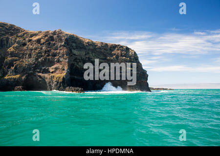 Akaroa, Canterbury, Neuseeland. Blick über das türkisfarbene Wasser des Pazifischen Ozeans zu den schroffen Klippen von Akaroa Kopf. Stockfoto