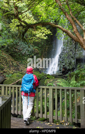 Caberfeidh, Catlins Conservation Area, Otago, Neuseeland. Wanderer in gemäßigten Regenwald bewundern Sie die untere Kaskade von Matai Falls von Holzbrücke. Stockfoto